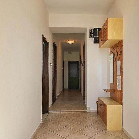 Stelia F. Daire Novigrad Istria Dış mekan fotoğraf