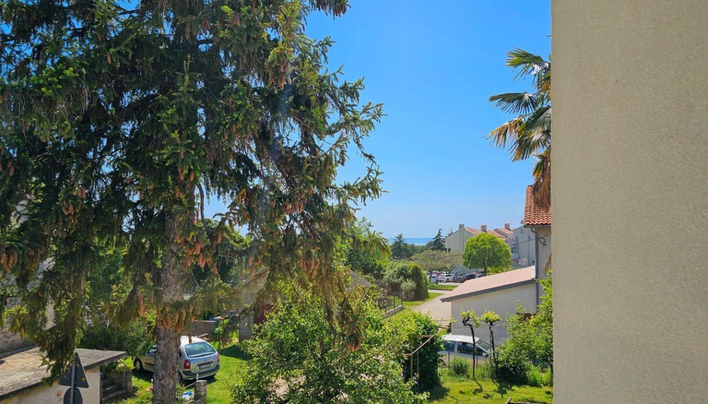 Stelia F. Daire Novigrad Istria Dış mekan fotoğraf
